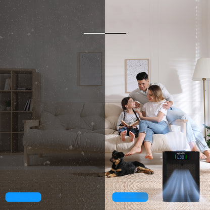 High-Performance Air Purifier With Sleep Mode Automatic Mode And Filter Replacement Reminder For Bedrooms Offices And Living Rooms (Black)