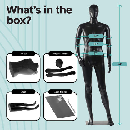 Male Mannequin 73 Adjustable Head Flexible Limbs Detachable Design